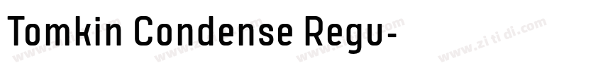 Tomkin Condense Regu字体转换 Tomkin Condense Regu字体转换